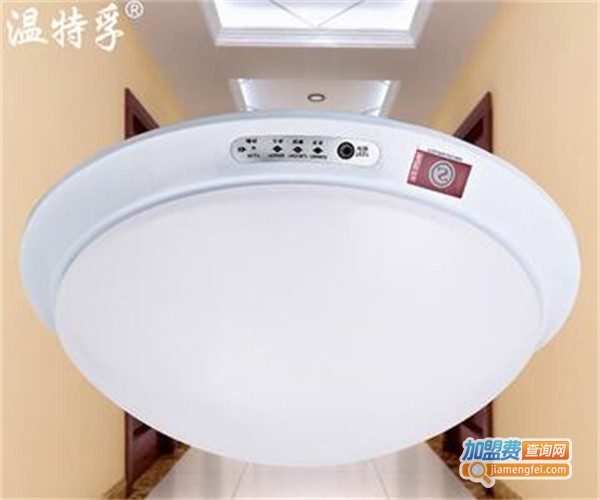 温特孚照明