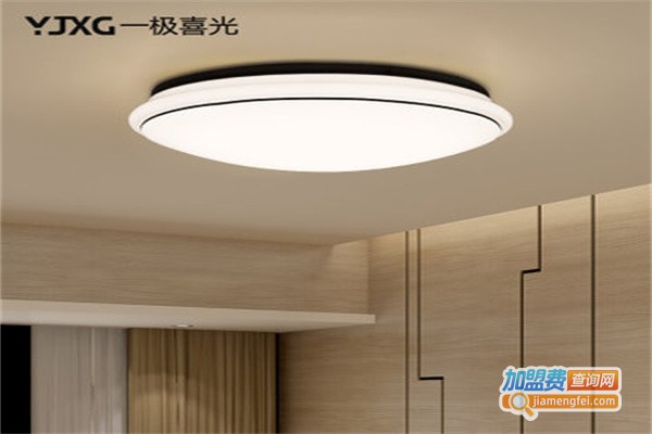 一极喜光照明