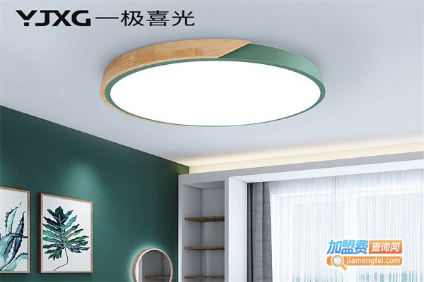 一极喜光照明