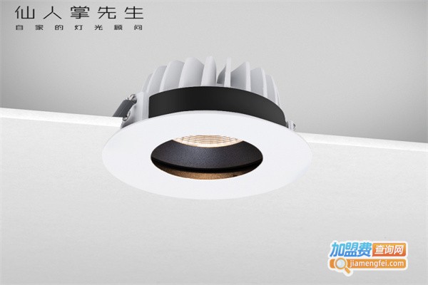 仙人掌先生照明