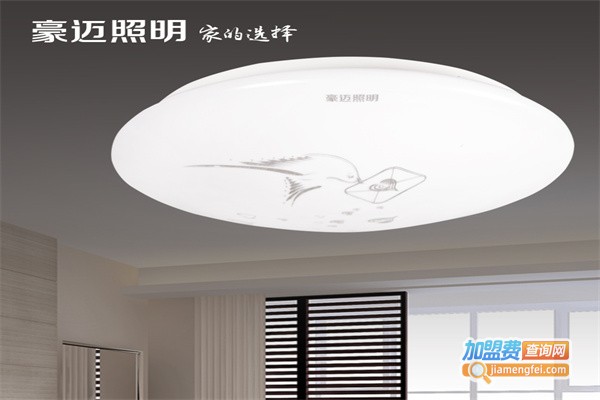 豪迈照明