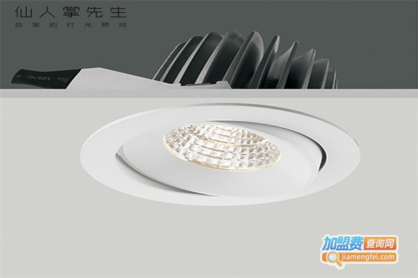 仙人掌先生照明