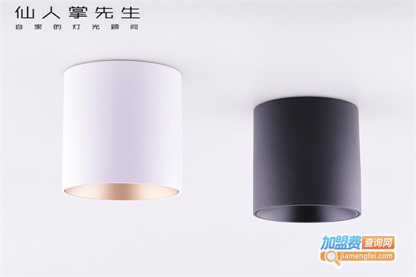 仙人掌先生照明