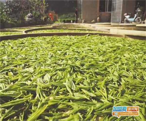 溢香茗茶
