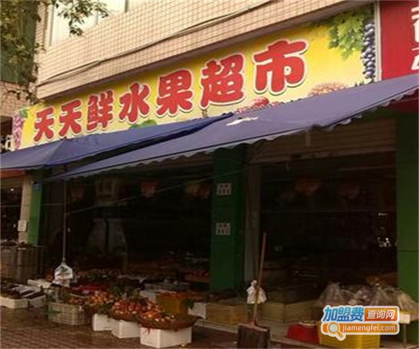天天鲜蔬果园加盟费