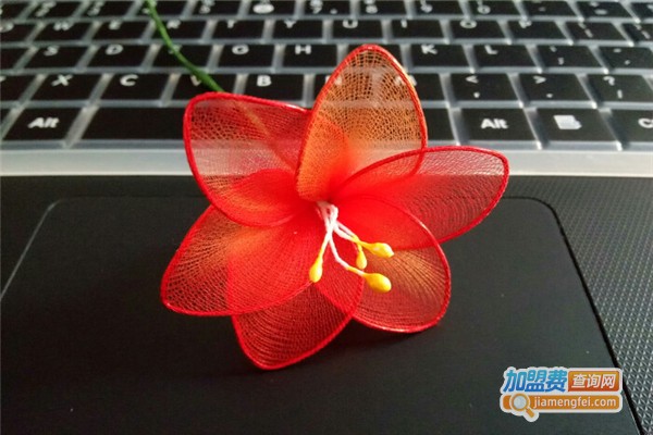 丝网花