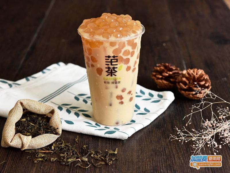 范茶加盟费