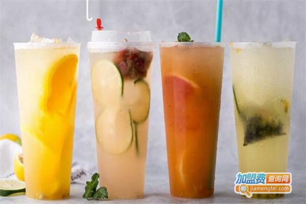 雾与山茶