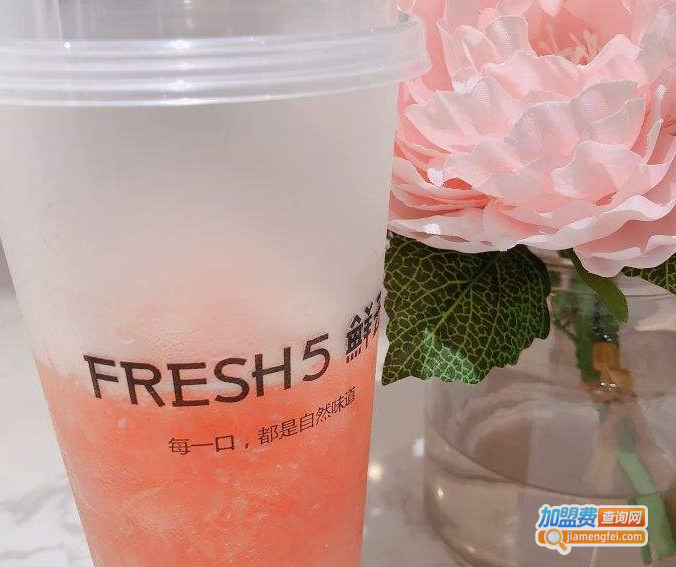 fresh5鲜五加盟费