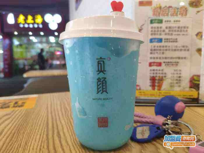 真颜元气之茶加盟费