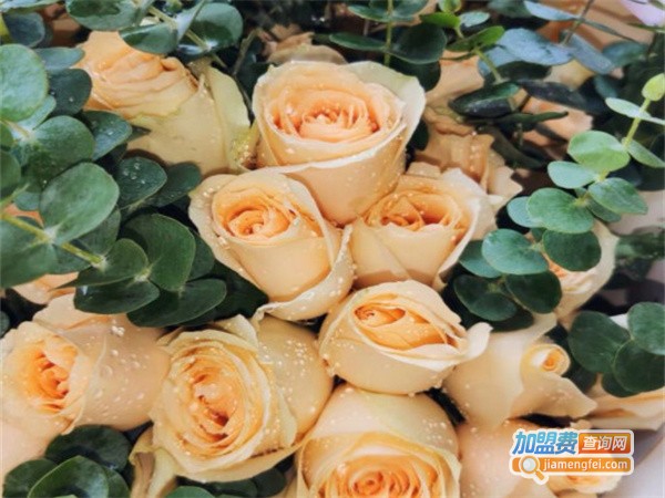 心情不错花店加盟费