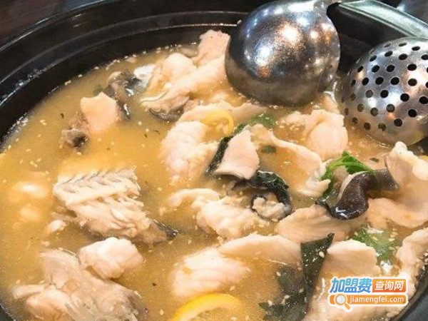 柠檬鱼掌门人