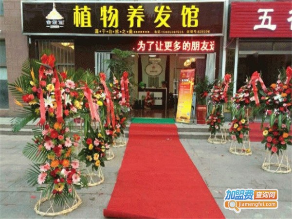 金紫丽植物养发馆