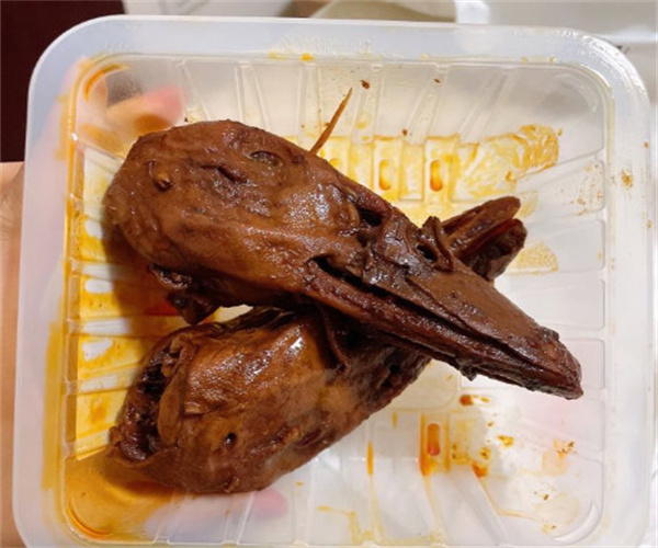 遇见小黄鸭
