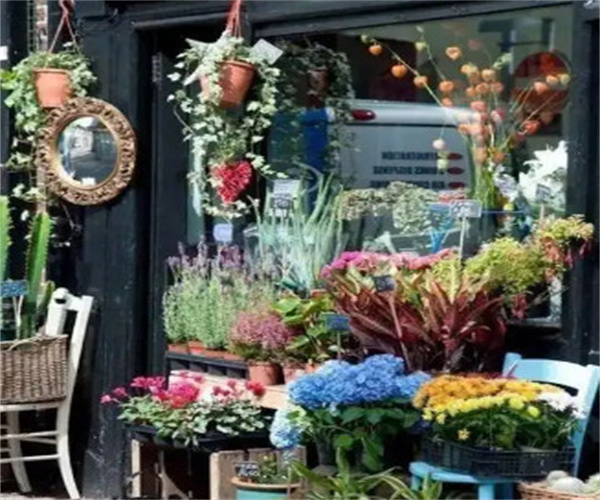 花仙子鲜花店加盟费