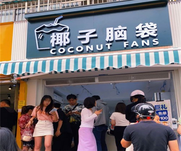 椰子脑袋