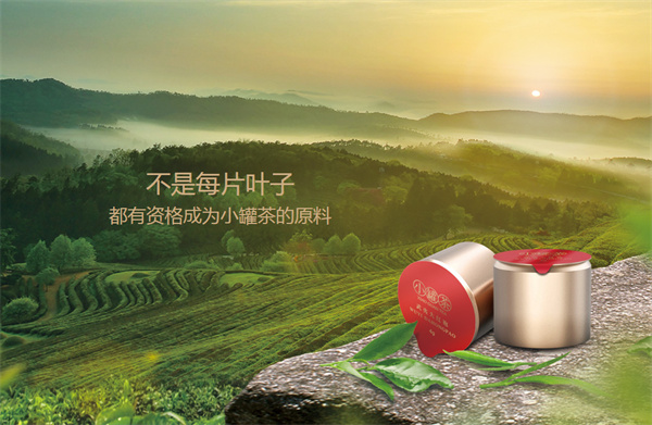 小罐茶加盟费