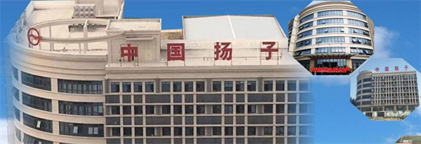 扬子集成灶