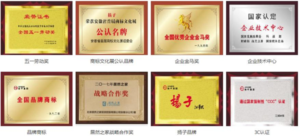 扬子集成灶