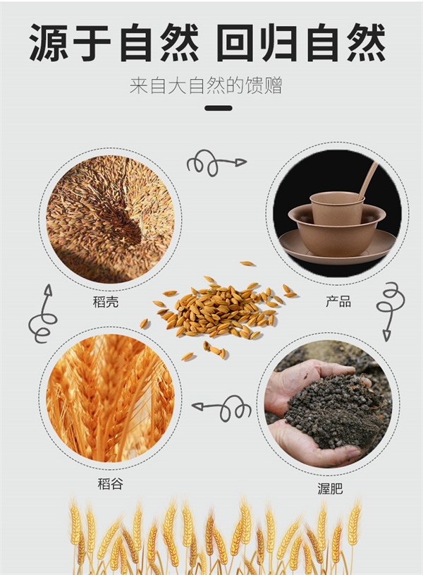 百卫诺一次性餐具