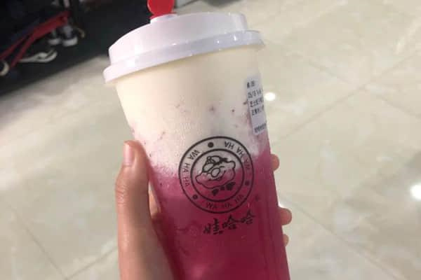 娃哈哈奶茶加盟费