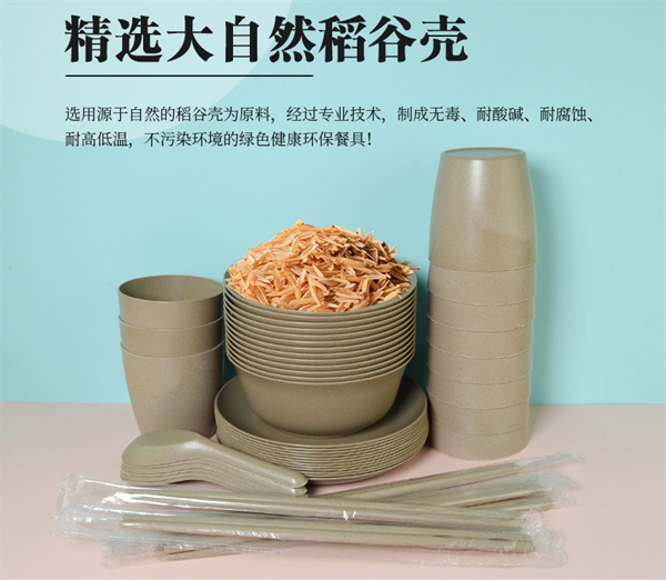 百卫诺一次性餐具
