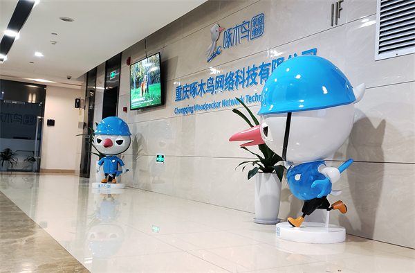 啄木鸟家庭维修