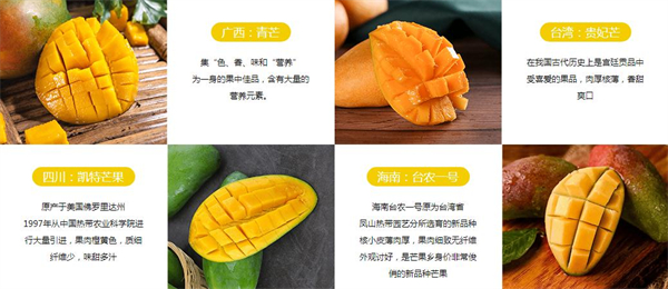 我很芒