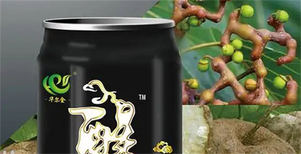 华尔金解酒茶