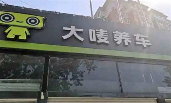 大唛养车