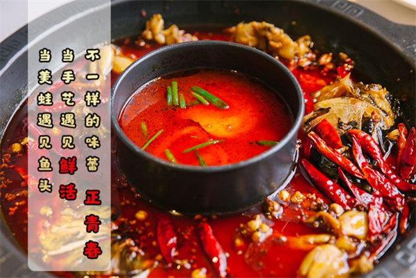 不给叫美蛙鱼头火锅