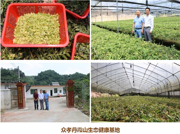 众孝加盟费