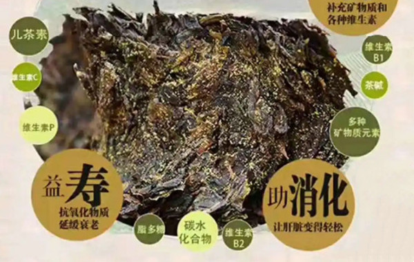 华莱黑茶加盟费