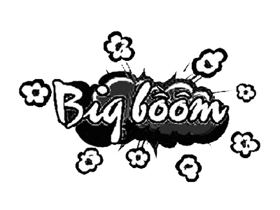 Big Boom韩国炸鸡加盟费