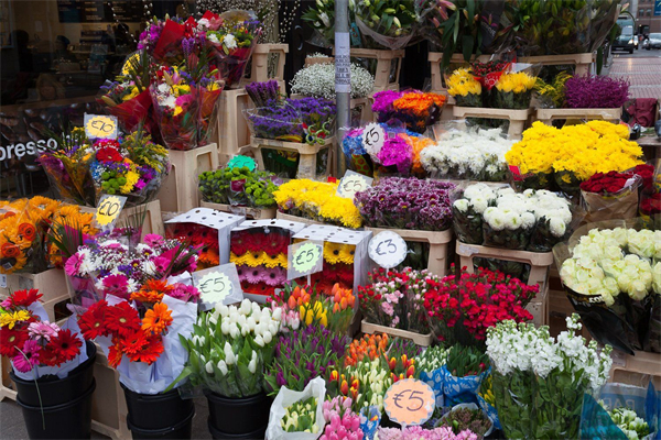 鲜花花店加盟费