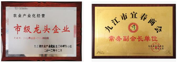 老字号卤菜店