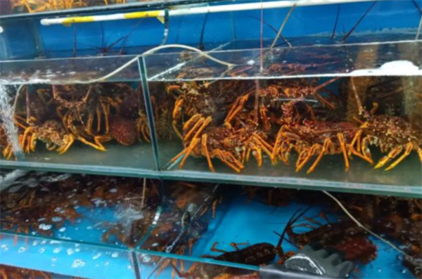 海鲜店连锁