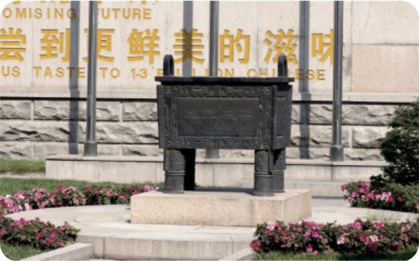 太太乐鸡精