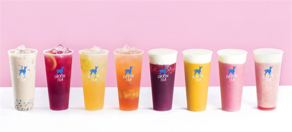 小鹿茶加盟费