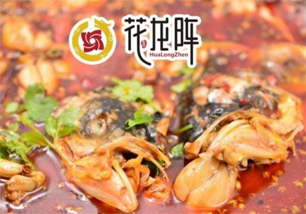 花龙阵美蛙鱼头