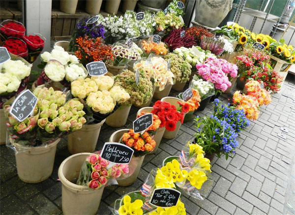 鲜花店