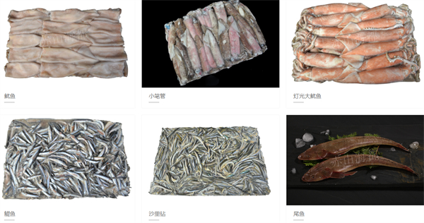 海洋食品