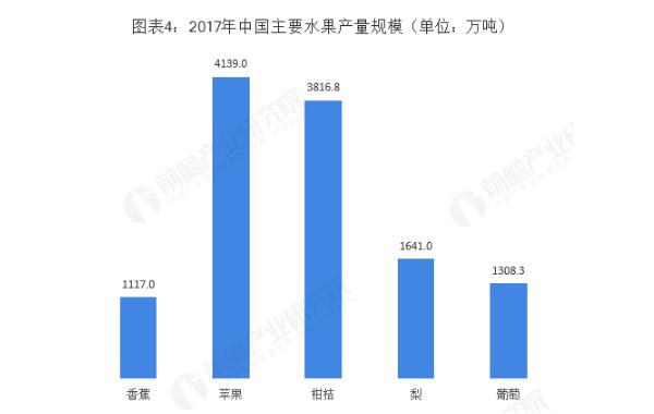 果多美加盟费