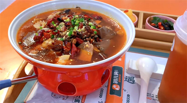 鸽儿俩加盟费