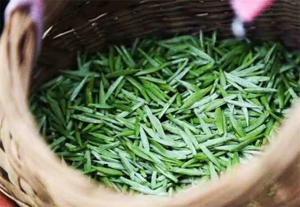 品牌茶叶连锁店加盟费
