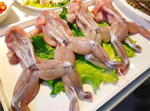 美蛙鱼火锅
