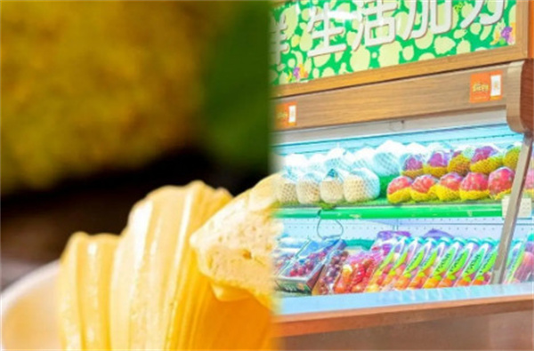 果叔水果店加盟费