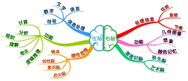 脑力开发