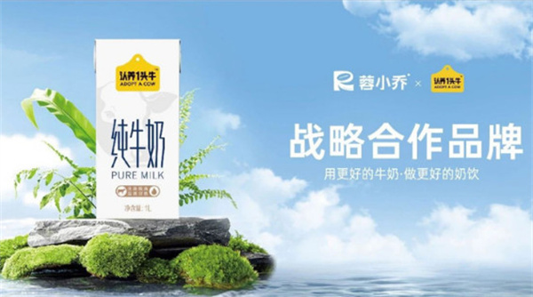 蓉小乔奶茶