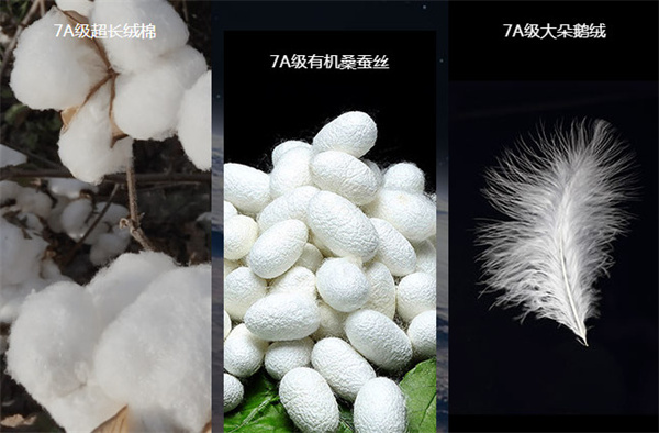梦洁家纺